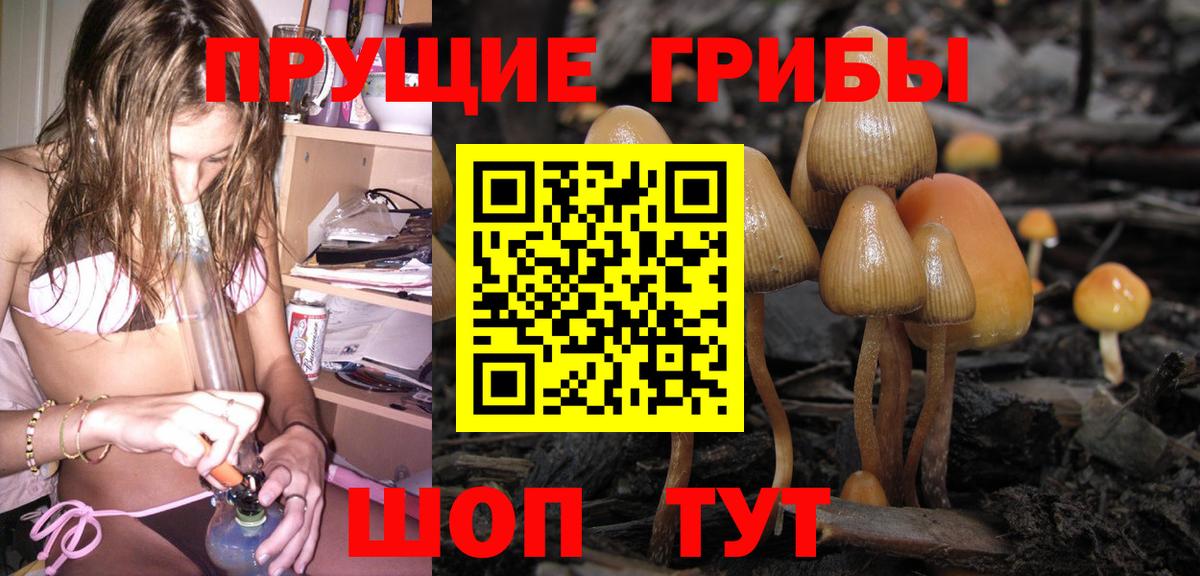 Галлюциногенные грибы MAGIC MUSHROOMS  Вход с VPN  Псилоцибиновые грибы Psilocybine cubensis  где найти   Кольчугино 